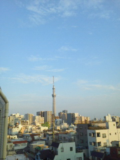 201207300536001.jpg