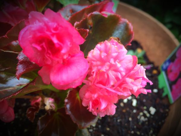 rblog-20160531194557-08.jpg