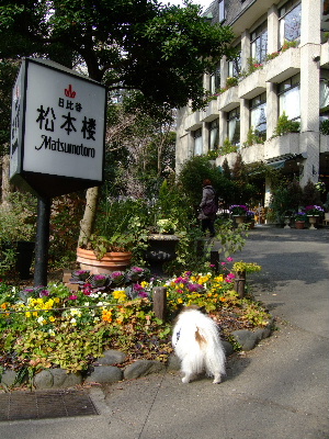 ２０１２１月お花教室９.JPG