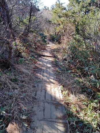 安達太良山登山 紅葉おわってた | 家一軒を解体してみたら いろいろやってみたくなる - 楽天ブログ