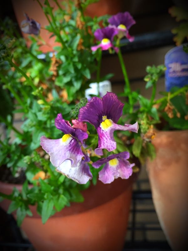 rblog-20160330190811-06.jpg