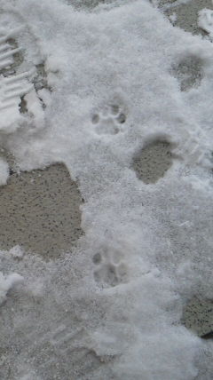 2012121713280000.jpg