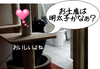 P6040029.png