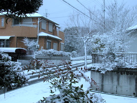 2007.01.07の雪-2