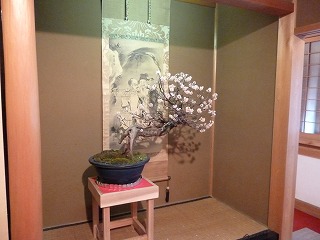 P1020985ss.jpg