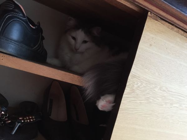rblog-20150517142813-04.jpg