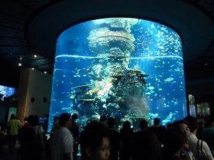 P1150244海洋博物館５.jpg