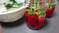 rblog-20140221004452-01.png