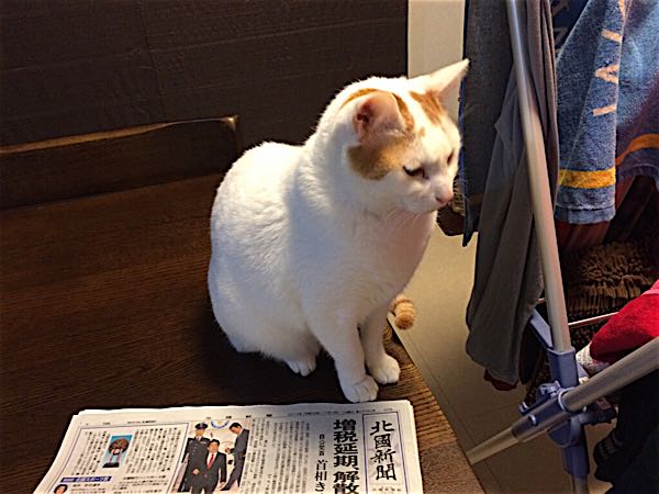 rblog-20141118063213-01.jpg
