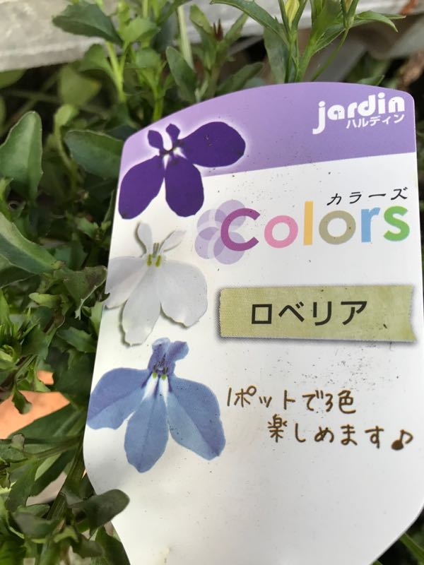 rblog-20190324174258-05.jpg