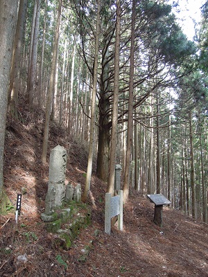 DSCN6345s.jpg