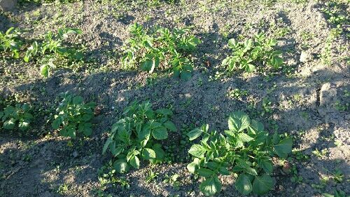 rblog-20151016165334-04.jpg