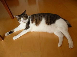 P1050958ss.jpg