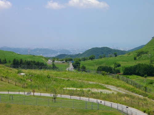 平尾台 (5) (500x375).jpg