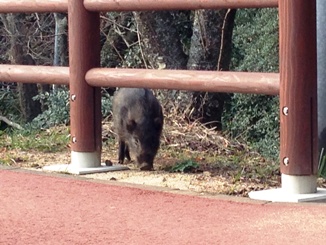 ２０１４１月９日 032.JPG