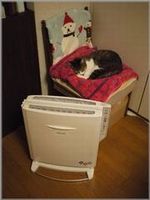 閉じたところ