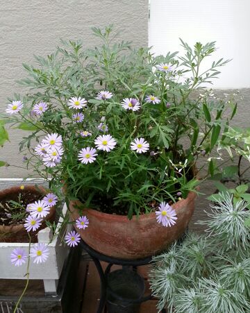 rblog-20140624003627-03.jpg