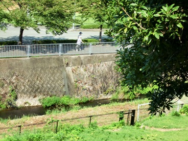 oyakozure2.jpg