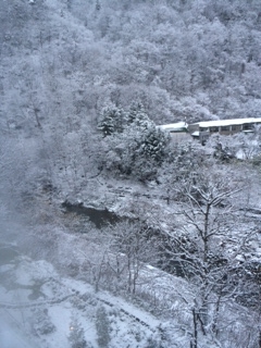 写真 1.JPG1.JPG