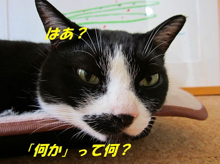 何かって何？.jpg