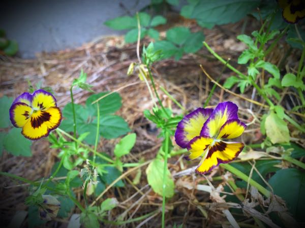 rblog-20160625182925-06.jpg