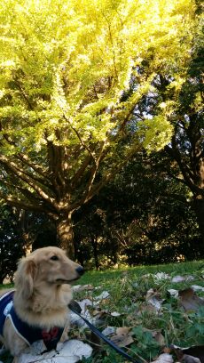 rblog-20141114205909-03.jpg
