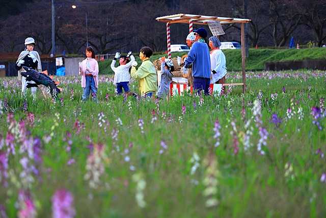 松崎町の案山子⁉ | さぶちゃんの撮影日誌！ - 楽天ブログ