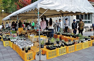 和歌山県岩出市緑化センターの即売会にいってきた ガマンマの ニク サボ栽培 楽天ブログ