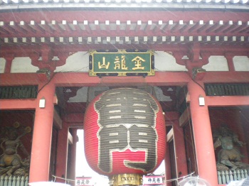 IMGP2229.jpg
