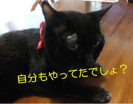 20120911_3.jpg