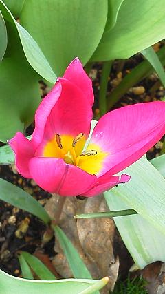 20120507103112.jpg