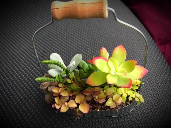 rblog-20161127173754-08.jpg