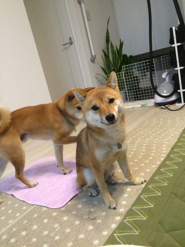 rblog-20151216002501-06.jpg