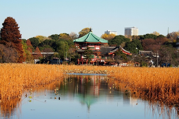 行く秋 師走の上野公園 | 清多夢くらぶ - 楽天ブログ