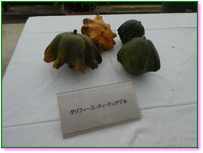 DSC01216.JPG