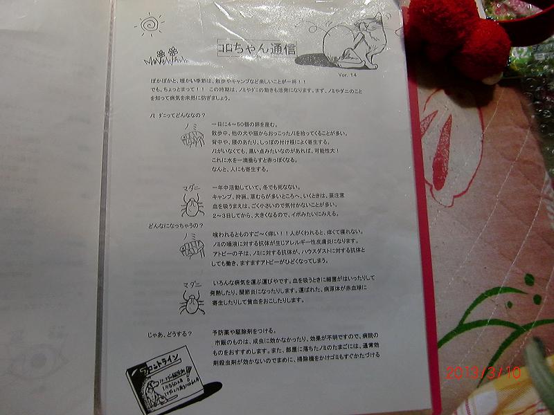 026-2.jpg