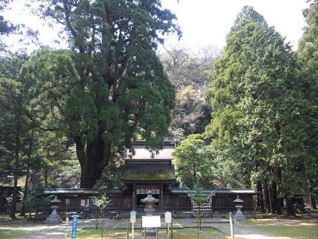 若狭姫神社３.jpg