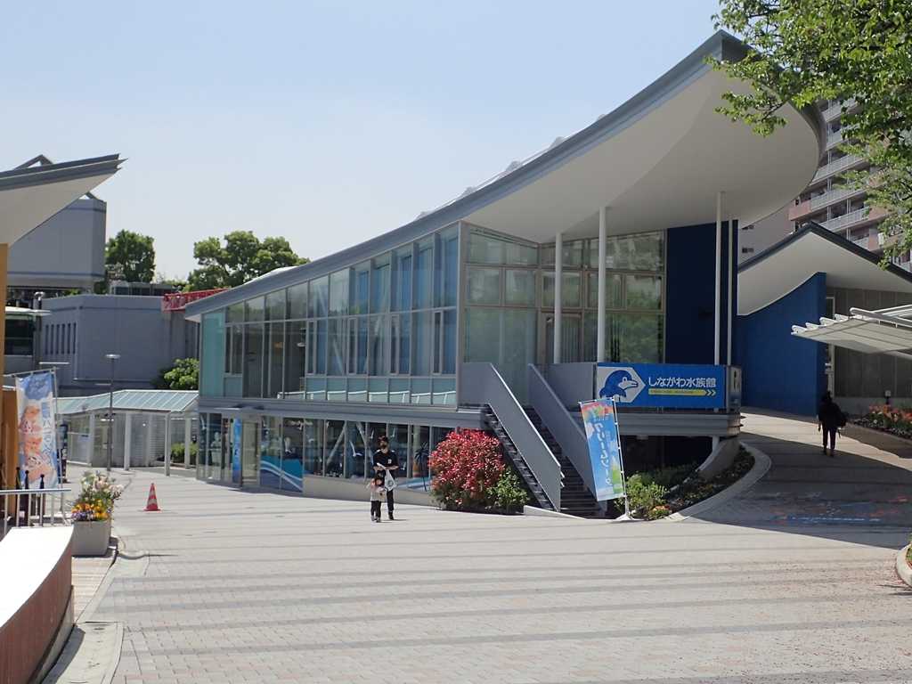 2022.4.22 しながわ水族館に行ってきた | ボケないための日記のようなモノ - 楽天ブログ