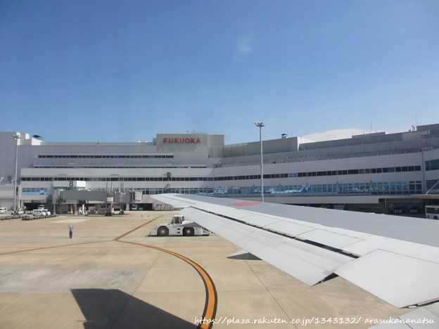 起きているときと眠っているときの間の狂った意識状態