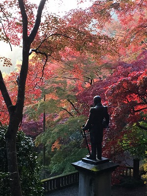 東郷神社の紅葉。