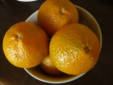 1ストウブみかん450２.jpg