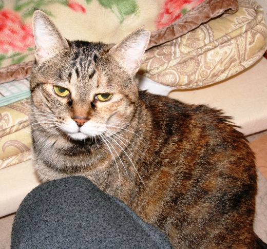 20160106ｻｷ04.jpg