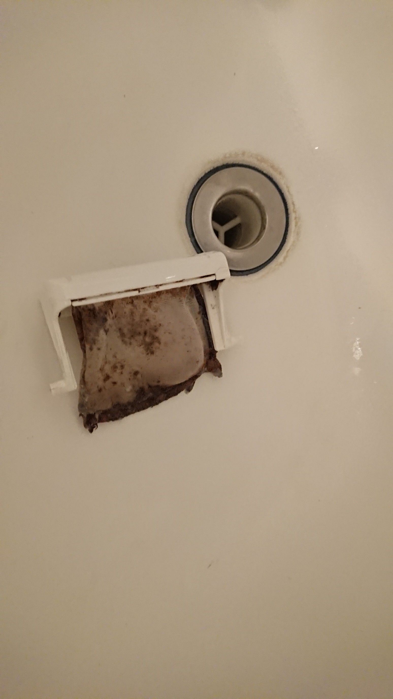 水回り四天王 最初の対戦相手は洗濯機 明日の自分をつくる徒然日記 楽天ブログ