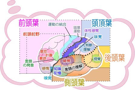 15年07月16日の記事 目の眼精疲労回復 動体視力 深視力向上 スポーツビジョン大分 楽天ブログ