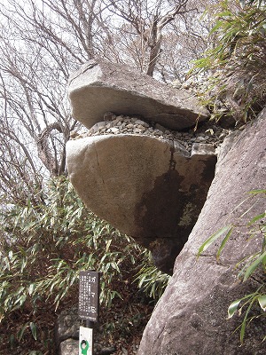 DSCN0065.jpg