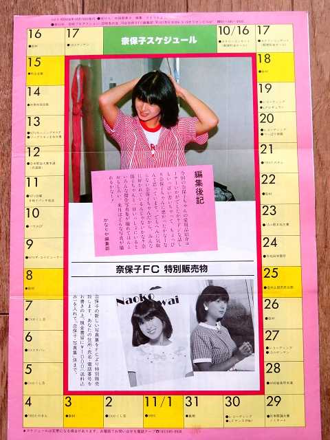 事故当時のスケジュール（河合奈保子さん） | 星とカワセミ好き