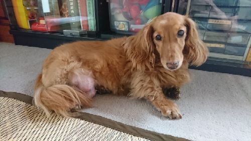 rblog-20180624074529-01.jpg