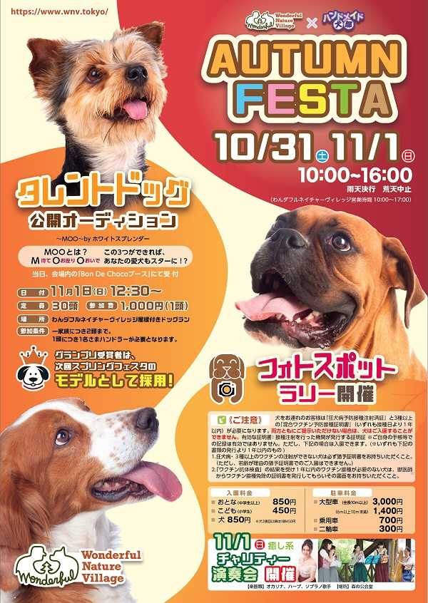 11月1日チャリティー演奏会 森にありがとう 開催します ハープ奏者 高山聖子 ブログ 楽天ブログ