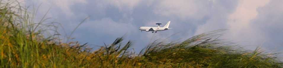 翌檜　「お暇便り」