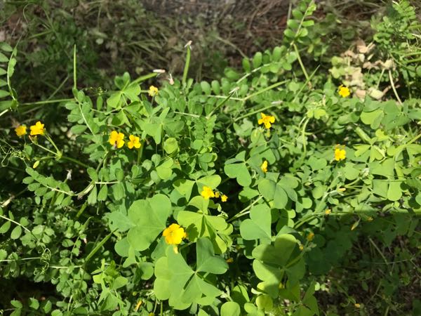 rblog-20180430174711-06.jpg